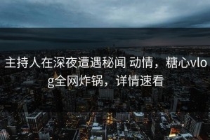 主持人在深夜遭遇秘闻 动情，糖心vlog全网炸锅，详情速看