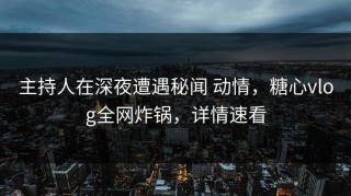 主持人在深夜遭遇秘闻 动情，糖心vlog全网炸锅，详情速看