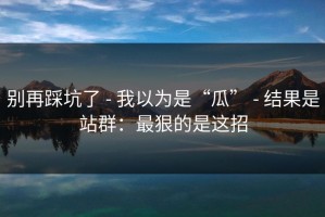 别再踩坑了 - 我以为是“瓜” - 结果是站群：最狠的是这招