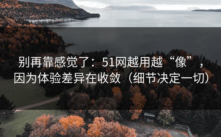 别再靠感觉了：51网越用越“像”，因为体验差异在收敛（细节决定一切）
